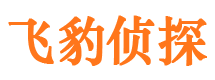 洮南外遇出轨调查取证